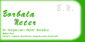 borbala meter business card