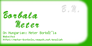 borbala meter business card